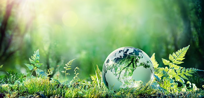 サステナビリティ